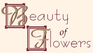 Beauty of Flowers Logo