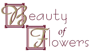 Beauty of Flowers Logo