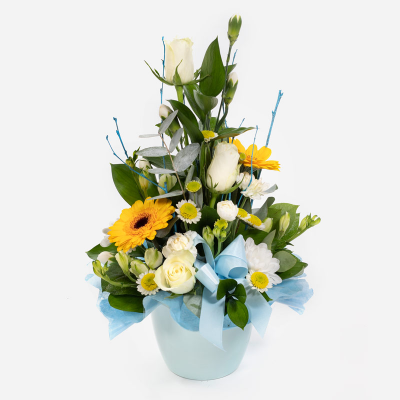 Baby Boy Pot - A floral creation for the new addition, made up of blooms in shades of yellow and white. Container may vary