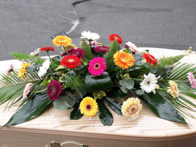 Mixed Gerbera Coffin Spray C172 - Gerbera coffin spray for a funeral in Derby or Derbyshire by Beauty of Flowers.