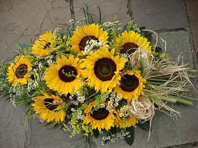 Sunflower Coffin Spray C173 - Sunflower coffin spray of flowers for a funeral in Derby and Derbyshire by Beauty of Flowers