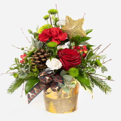 Starlight - Show your love this Christmas with this wonderful collection of wintry flowers arranged in a co ordinating pot.