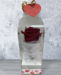 Single Rose Gift Box - Valentine gift flowers in Derby and Derbyshire delivered by Beauty of Flowers