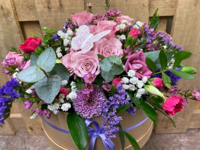 Butterfly Garden Hatbox - Beauty of Flowers are proud to offer this Butterfly Garden Hatbox design made by our own expert florists and personally delivered to your loved one or have ready for you to collect from our Derby City store.

This design is made in oasis so minimal attention is needed by the recipient, so maximum enjoyment can be appreciated.