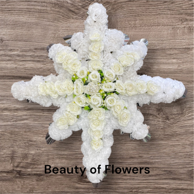 Artificial White Star Product Image