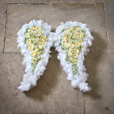Angel Wings - Angel wings, with their feathery outline and cream rose centres. 

Height 60cm