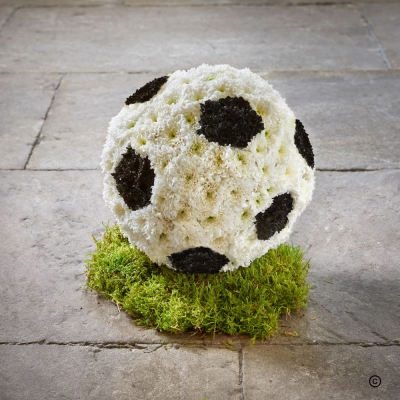 Football OFP27(B) - As a final gift for football players or fans, this 3D football is a popular design. The football is on a grass base and can be tailored to reflect a particular team or club.
Size 30cm base and a real life size football.