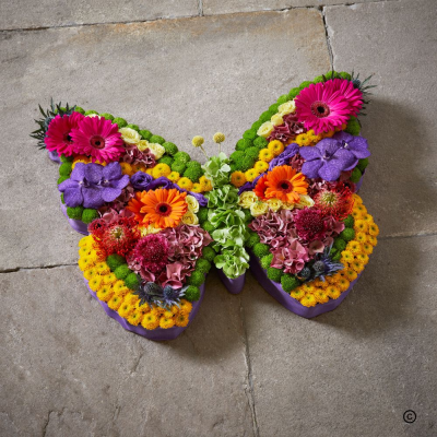 Vibrant Butterfly OFP23(A) - The butterfly, a symbol of hope. Its bright coloured wings and intricate patterns indicating a life full of energy.