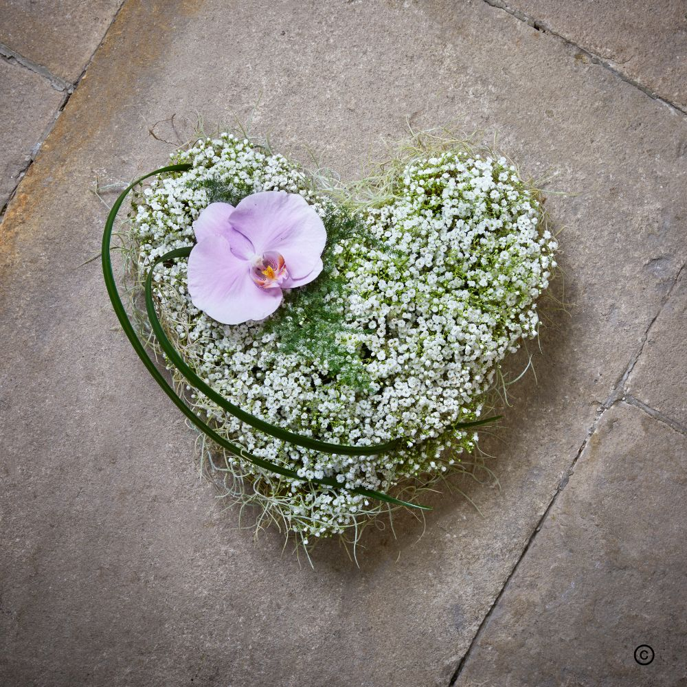 Gypsophila Heart